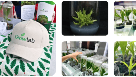 Công ty TNHH Growlab