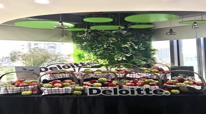 Deloitte Vietnam