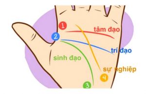 3. Ý nghĩa của các đường chỉ tay sự nghiệp 