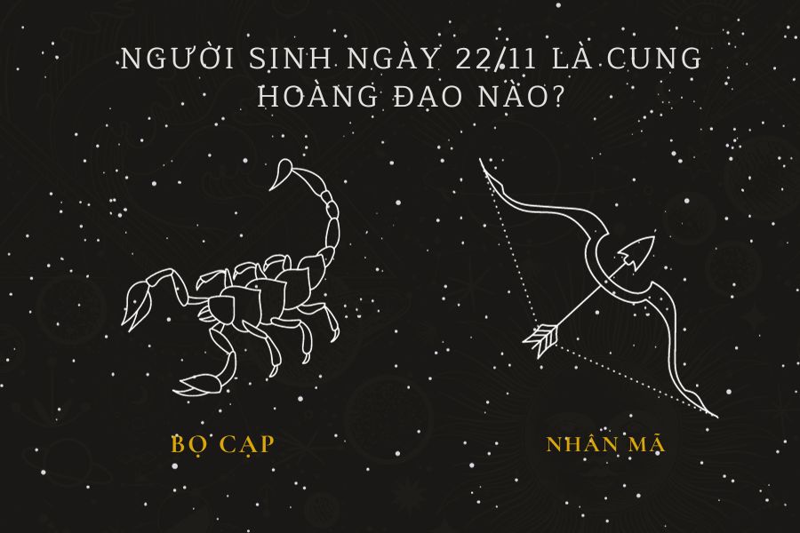 sinh ngày 22 11 là cung gì