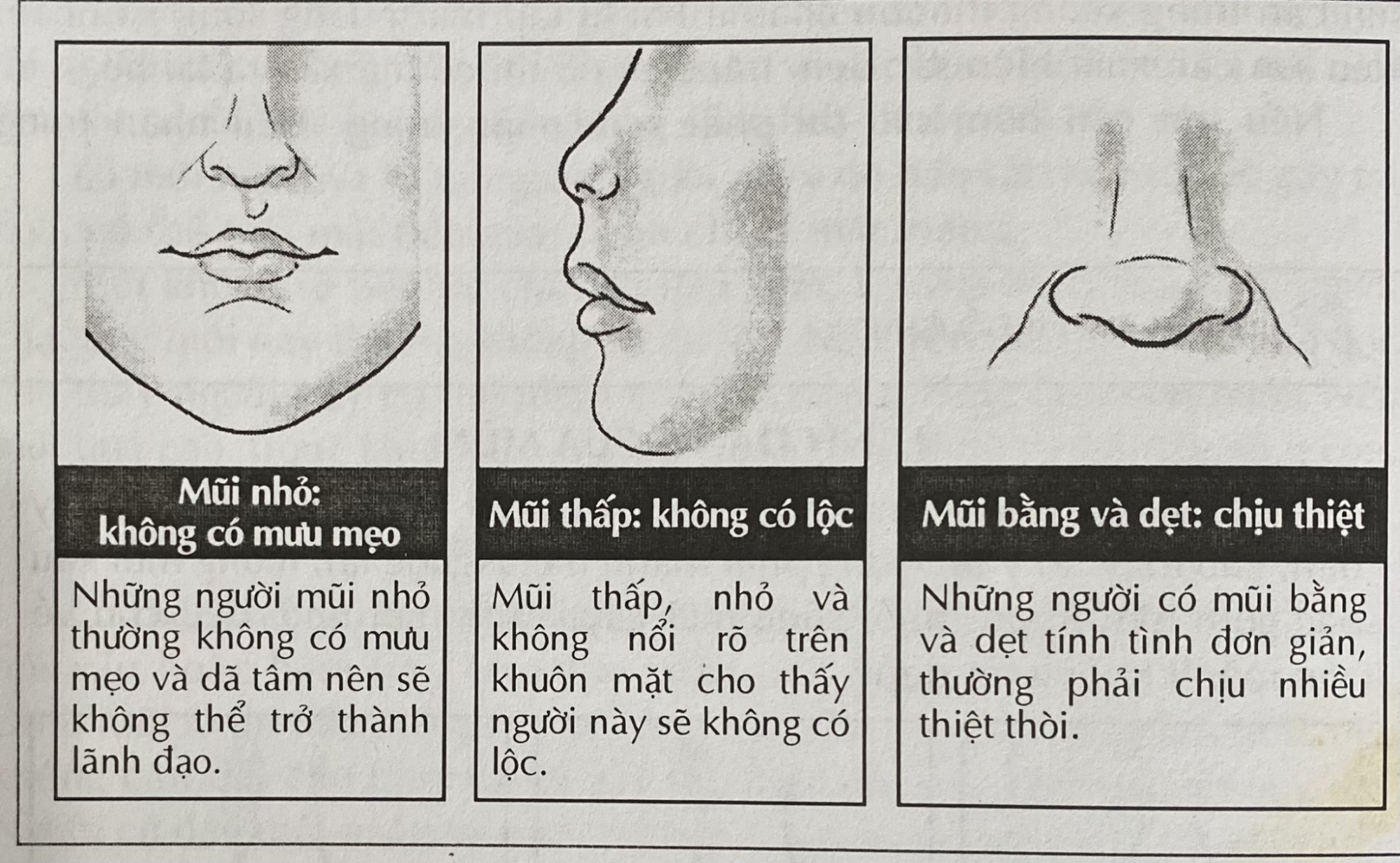 Nhân tướng học tướng mũi