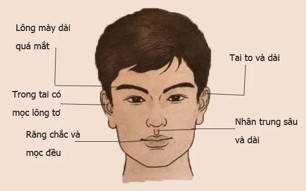 Thần tướng mặt của người trường thọ