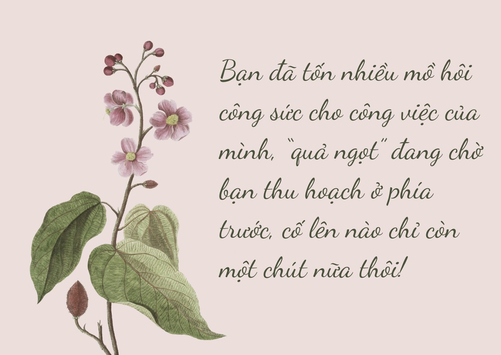 Lời chúc mừng công việc mới hay 