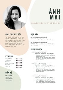 Mẫu CV xin việc part time