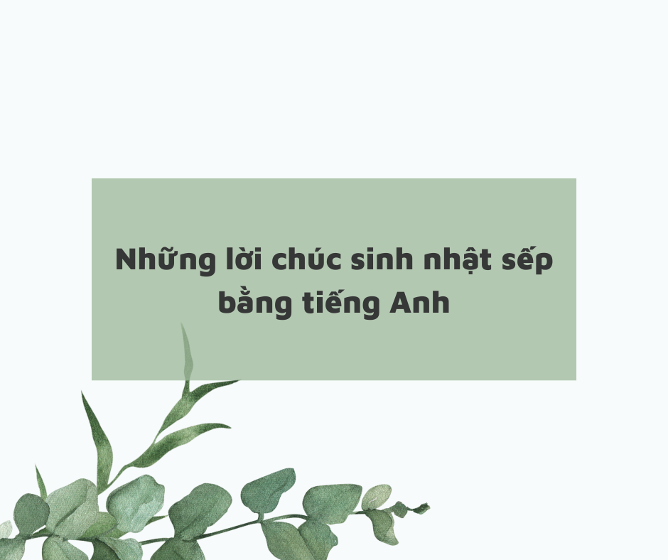 nhung loi chuc sinh nhat sep bang tieng anh doc dao