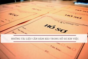 hồ sơ xin việc mẫu