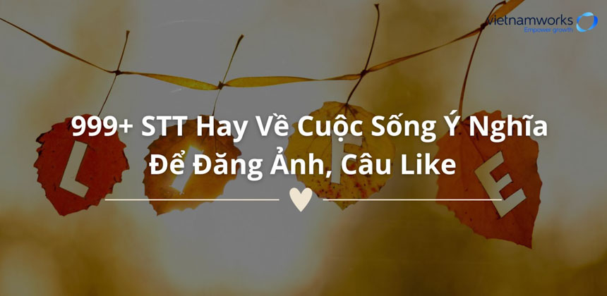 stt hay về cuộc sống