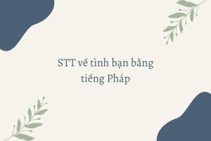 Câu nói hay cho tình yêu và tình bạn.