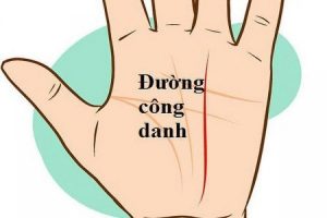 chỉ tay đường công danh