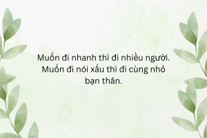 câu nói hay về tình bạn