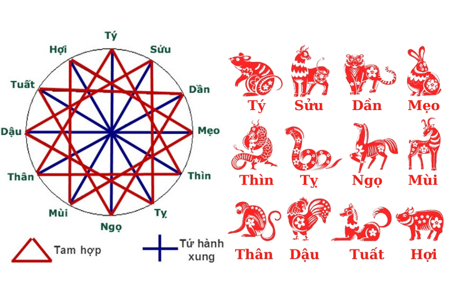 Tuổi hợp khác nhau theo con giáp