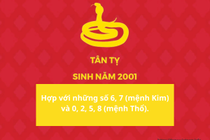 2001 mệnh gì