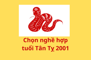 2001 mệnh gì