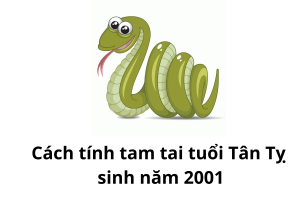 2001 mệnh gì