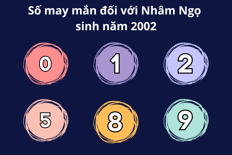 số may mắn của nhâm ngọ 2002