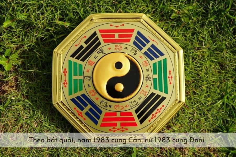 quý hợi 1983 cung gì