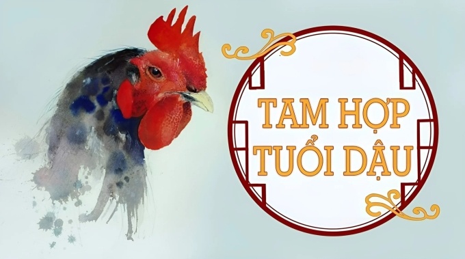 Tuổi Dậu sẽ nằm trong nhóm tam hợp với tuổi Tỵ và tuổi Sửu