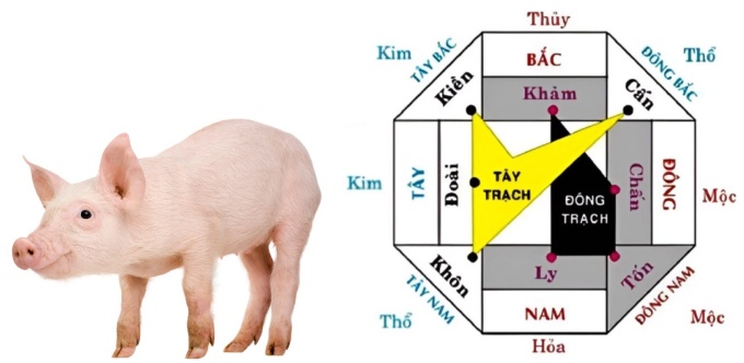 2007 là mệnh gì