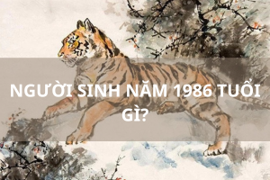 1986 mệnh gì