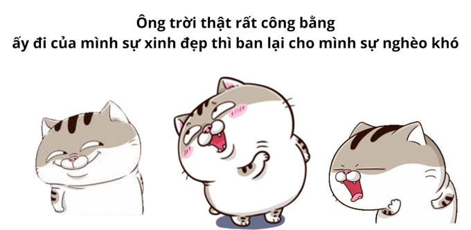 stt vui, hài hước, tương tác cao