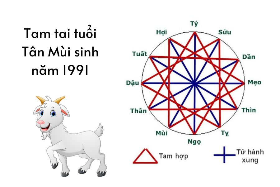 Giải đáp màu hợp tuổi tân mùi