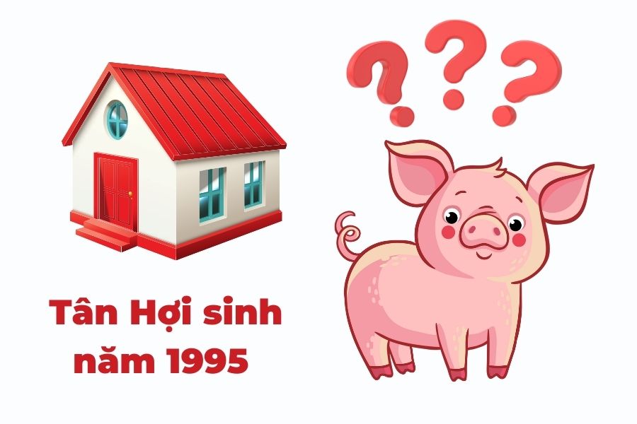 sinh 1995 mệnh gì hợp hướng nào(Bổ sung ảnh)