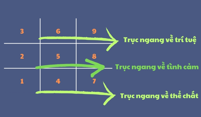 Các trục ngang biểu thị về trí tuệ, tình cảm, thể chất