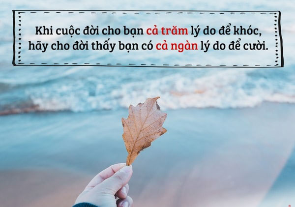 câu nói hay về tình yêu cuộc sống