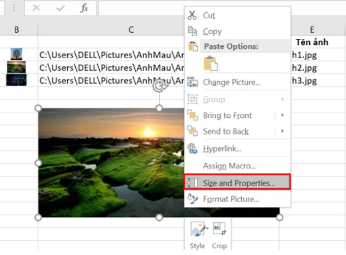 Cách cố định ảnh trong Excel