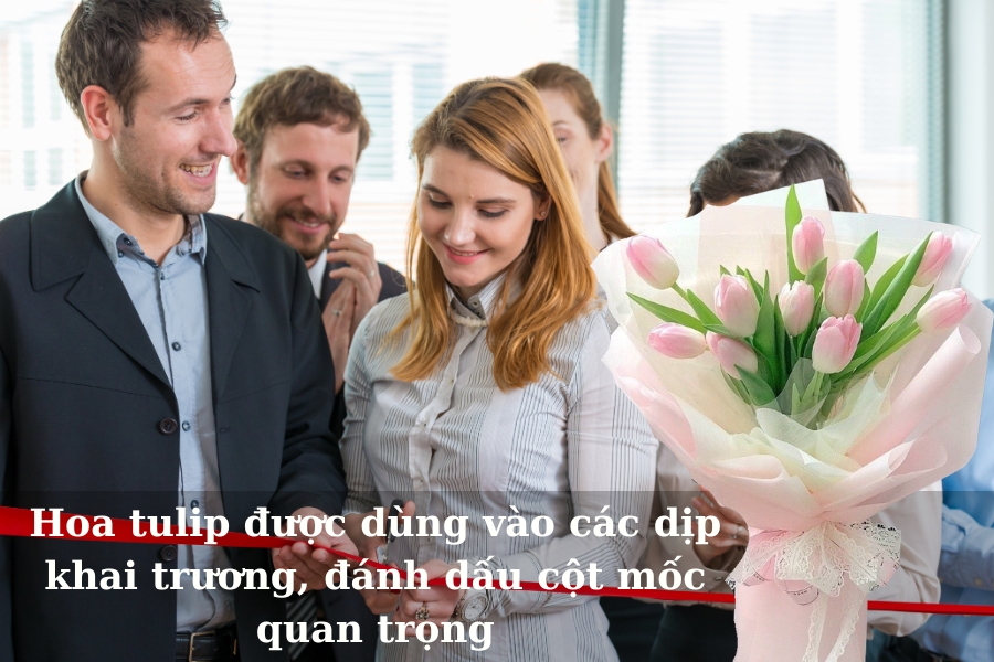 Hoa tulip dành cho các cột mốc quan trọng