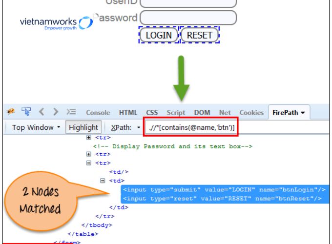 Hiểu rõ về HTML, CSS và Xpath