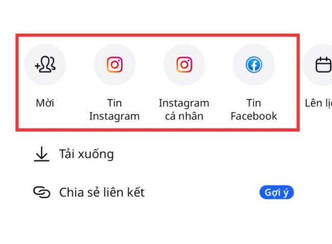 Cách sử dụng canva review