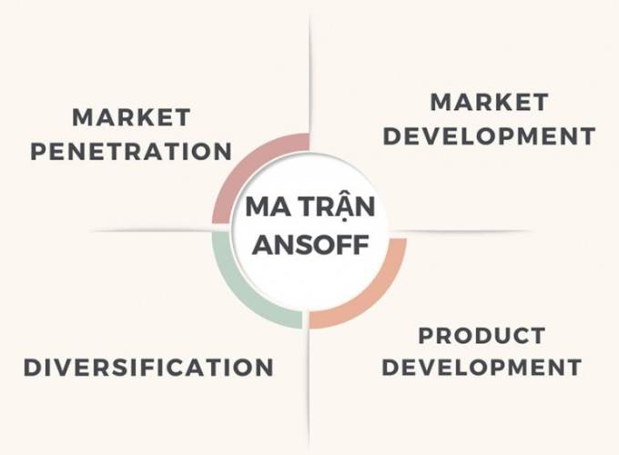 Chiến lược Đa dạng hóa (Diversification)