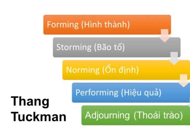 Mô hình 5 giai đoạn phát triển nhóm của Tuckman