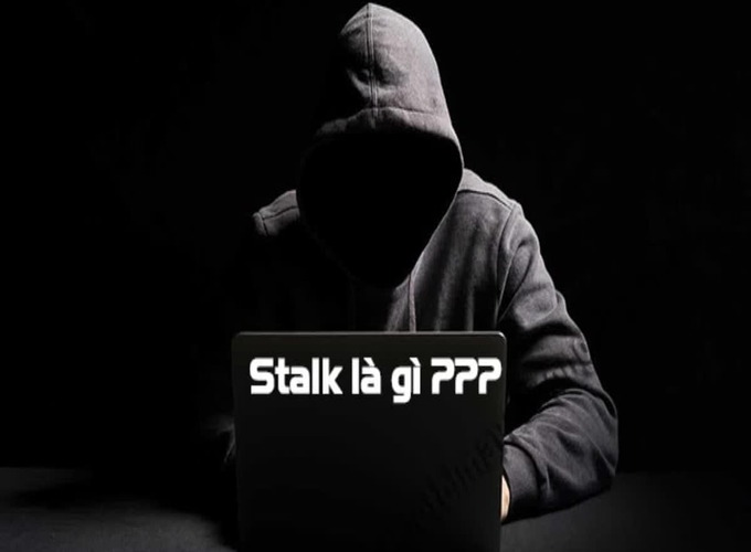 Stalk là gì?