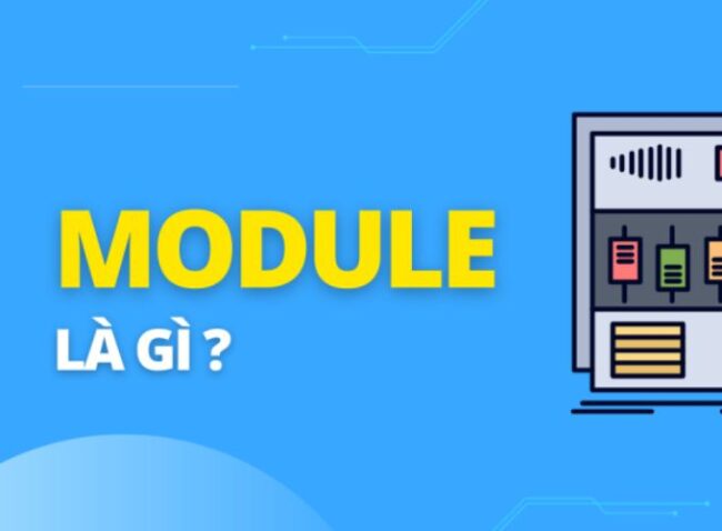 Module trong giáo dục là gì